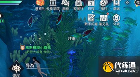 《天谕手游》人鱼之望位置