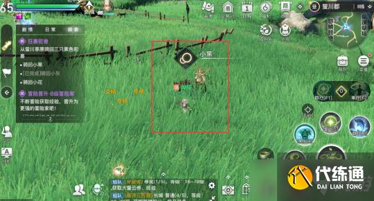 冒险任务狂暴驼兽怎么做?陈年老咸鱼怎么获得?