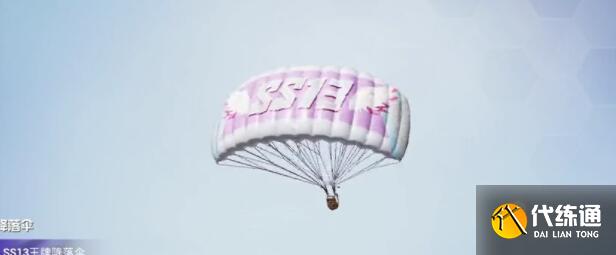 和平精英ss13赛季手册皮肤是什么 和平精英ss13赛季手册皮肤是什么