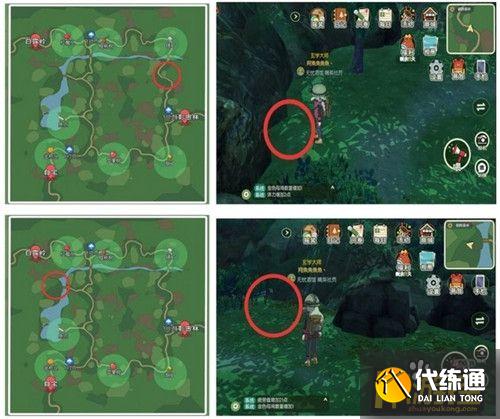 小森生活稀有甲虫怎么抓