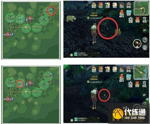 小森生活稀有甲虫怎么抓