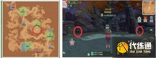 小森生活稀有甲虫怎么抓