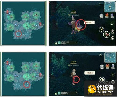 小森生活稀有甲虫怎么抓