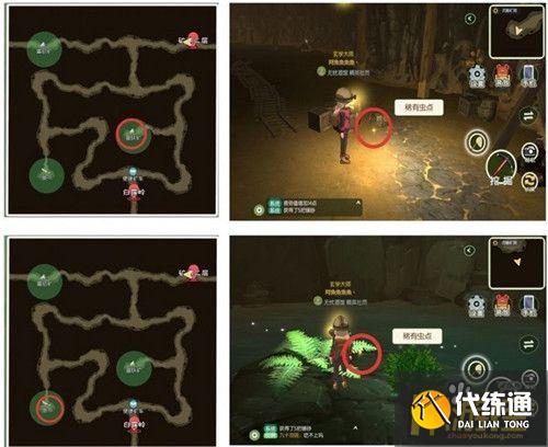 小森生活稀有甲虫怎么抓