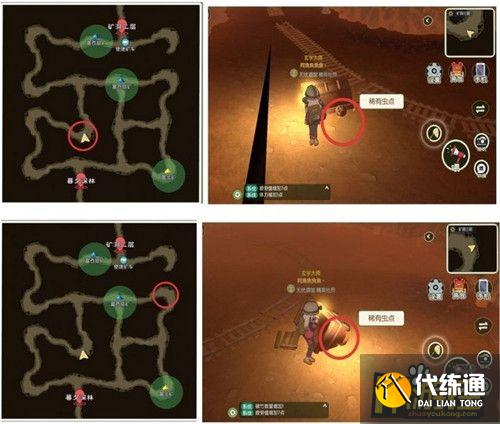 小森生活稀有甲虫怎么抓