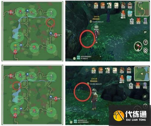 小森生活全部稀有虫点位置一览