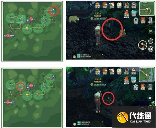 小森生活全部稀有虫点位置一览