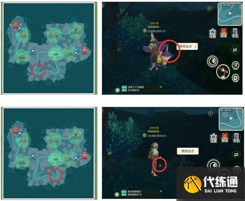 小森生活全部稀有虫点位置一览