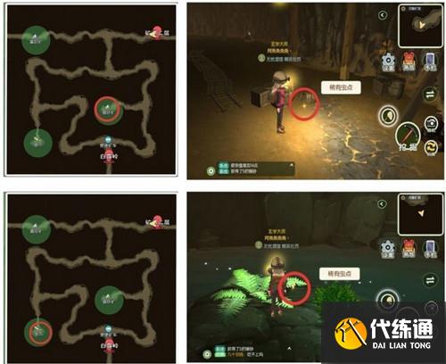 小森生活全部稀有虫点位置一览