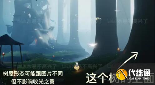 光遇重组季光之翼位置及收集方法