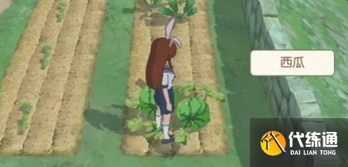 小森生活种西瓜办法介绍