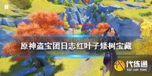 原神红叶子矮树宝藏位置 盗宝团日志红叶子矮树宝藏攻略