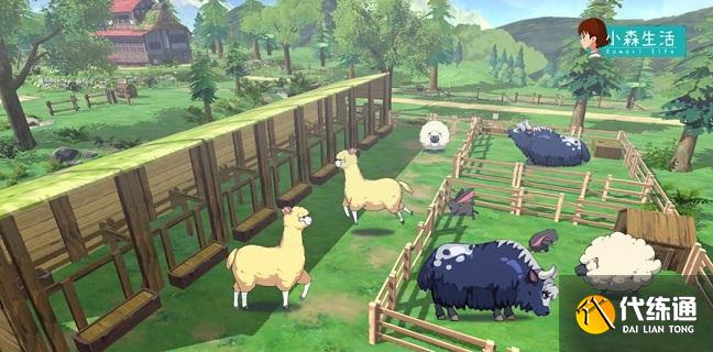 小森生活风之岛攻略 风之岛全任务流程