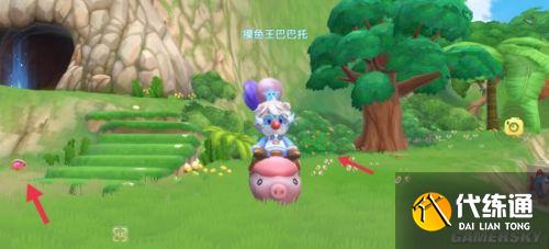 摩尔庄园浆果最全采集攻略 浆果采集路线分享