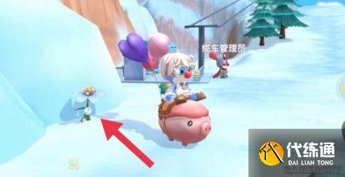 摩尔庄园浆果最全采集攻略 浆果采集路线分享