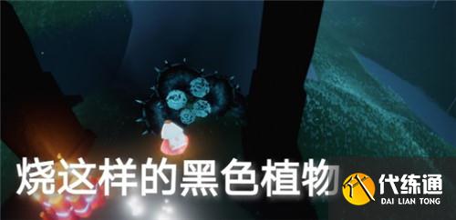 光遇6.7日常任务完成攻略分享