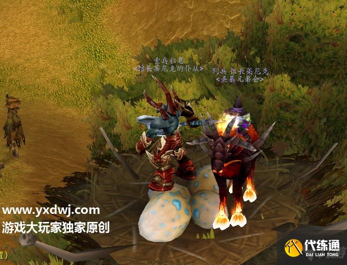 神秘的鸟蛋任务怎么做？魔兽世界tbc纳格兰给我鸟蛋任务怎么跳？