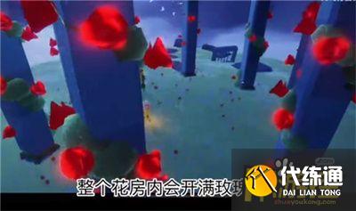 光遇小王子季任务四通关攻略3.jpg 光遇小王子季任务四通关攻略3.jpg