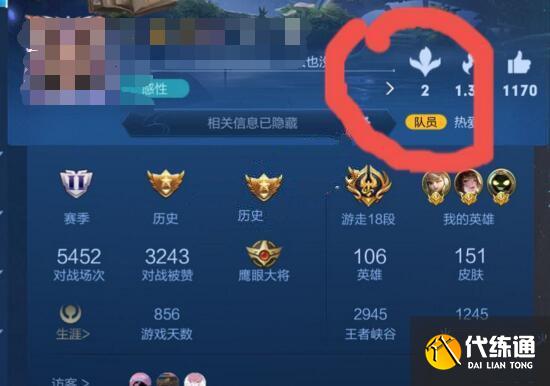 王者荣耀s24赛季个人主页送花介绍