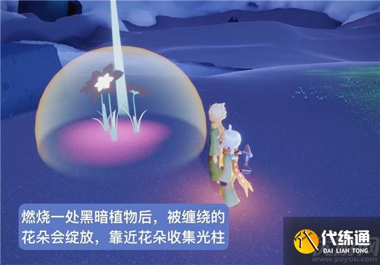 光遇小王子第四个任务完成攻略 8个黑暗植物位置介绍