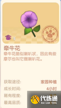 摩尔庄园手游牵牛花有什么用 摩尔庄园手游牵牛花用法一览