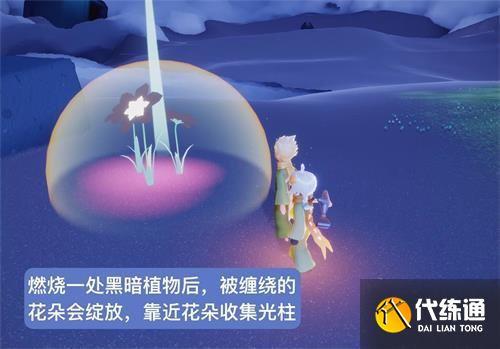 光遇小王子季玫瑰花园在哪 小王子季第四个任务完成攻略[多图]图片4