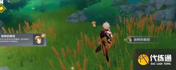原神给你添蘑菇了成就完成方法详解 原神给你添蘑菇了成就完成方法详解