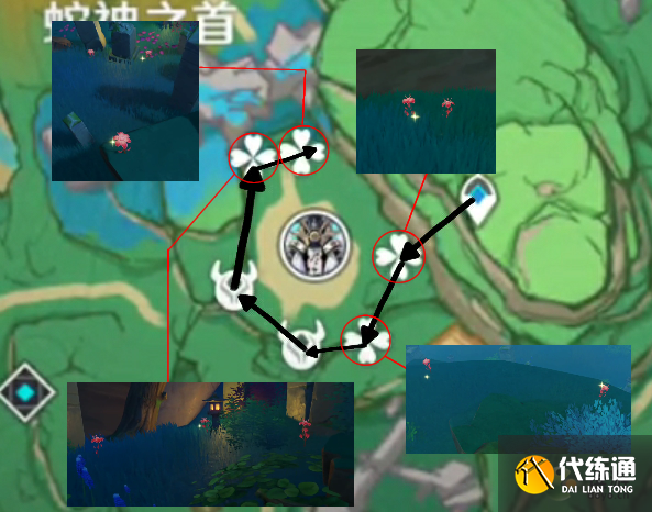 原神血斛最佳采集路线推荐