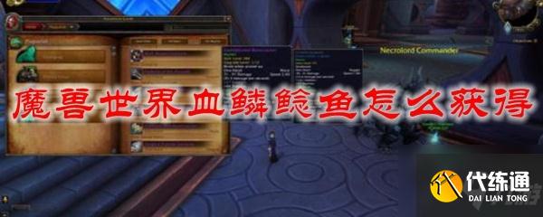 魔兽世界血鳞鲶鱼在哪获得？魔兽世界血鳞鲶鱼获取途径分享