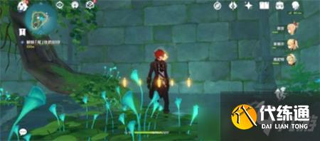 原神池中宅邸解密通关攻略 原神池中宅邸解密怎么过