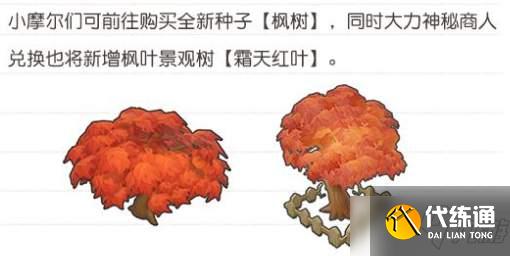 《摩尔庄园手游》枫叶种子获取攻略分享