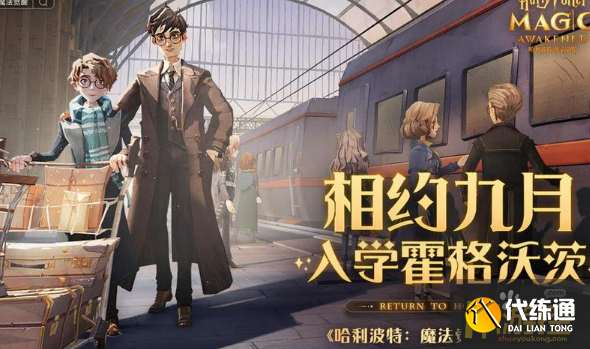 哈利波特魔法觉醒韦斯莱回响伙伴怎么选,哈利波特魔法觉醒韦斯莱回响伙伴选择攻略