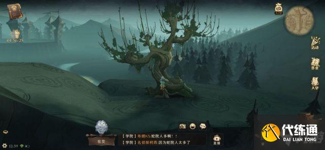 《哈利波特魔法觉醒》禁地打人柳打法攻略