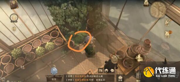 哈利波特魔法觉醒巧克力蛙第七天在哪 巧克力蛙第七天NPC位置详解