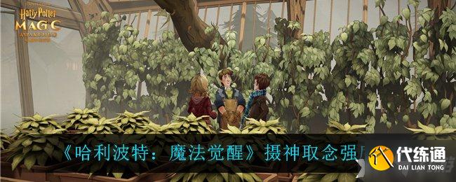 《哈利波特：魔法觉醒》摄神取念强度介绍