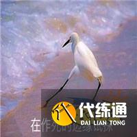 LOL手游中射手位该怎么玩?一篇文章教会你怎么对线