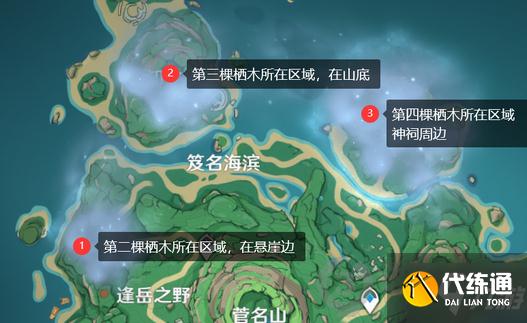 原神雾海纪行任务怎么做 原神雾海纪行主线第一天攻略