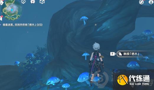 原神雾海纪行任务怎么做 原神雾海纪行主线第一天攻略