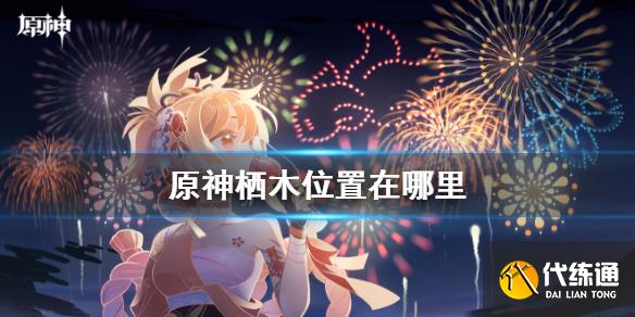 《原神》栖木位置在哪里 知比山栖木位置攻略