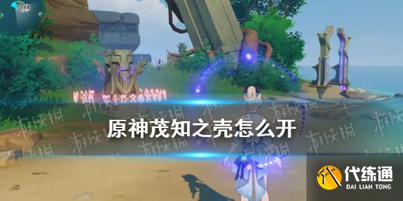 《原神》茂知之壳怎么开 茂知之壳秘境解锁攻略