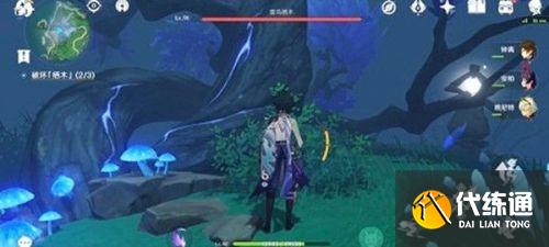 原神雾海与树之祭能量球任务攻略