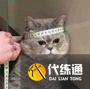 新赛季用什么枪好?使命召唤手游武器推荐