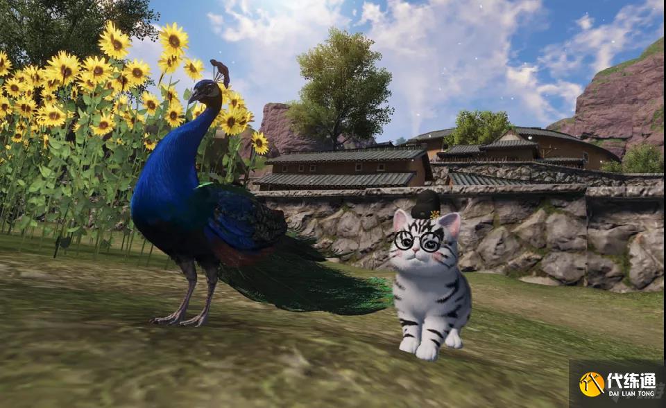 天涯明月刀手游猫咪行侠怎么玩