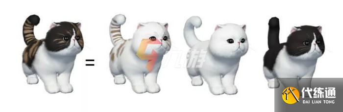 附件1635757188.jpg 附件1635757188.jpg