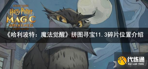 《哈利波特：魔法觉醒》2021拼图寻宝11.3碎片位置介绍