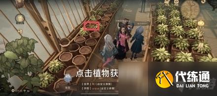 哈利波特魔法觉醒拼图寻宝第五期位置一览