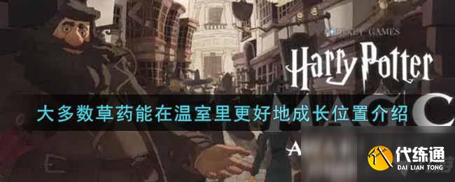 《哈利波特:魔法觉醒》大多数草药能在温室里更好地成长位置介绍