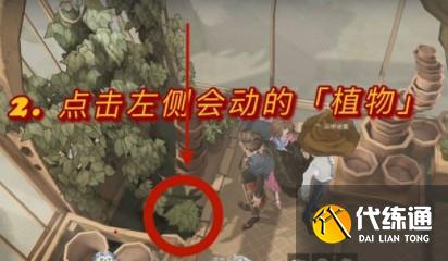 哈利波特魔法觉醒大多数草药能在温室里更好的成长拼图位置攻略