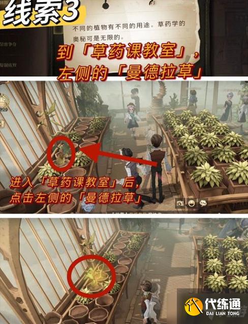 哈利波特魔法觉醒不同的植物有不同的用途草药学的奥秘可是无限的拼图在哪-不同的植物有不同的用途草药学的奥秘可是无限的拼图位置介绍