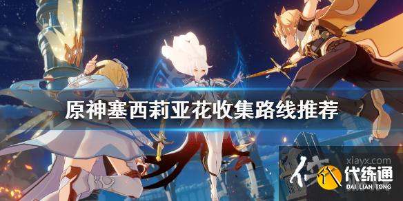 《原神》阿贝多突破材料怎么获得？塞西莉亚花收集路线推荐